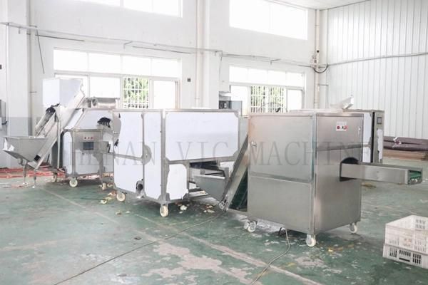 1 T/H Food Grade Stainless Steel Onion Peeling Machine