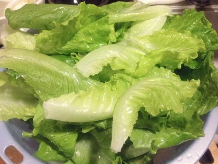 Leafy Vegetables Washer Destoner Cleaning Machine Lettuce Bubble Washing Machine