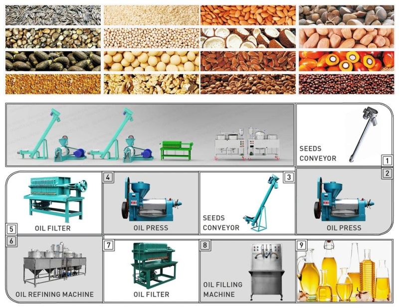 Guangxin 1.3 Tpd Automatic Combined Peanut Oil Expeller