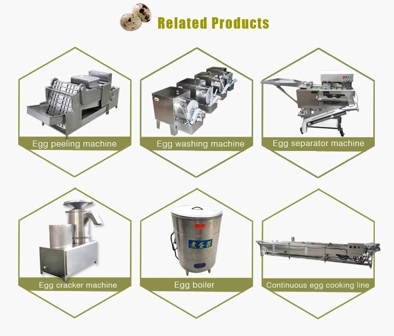 Factory Supply Quail Egg Peeling Machine Quail Egg Peeler Quail Egg Shelling Machine