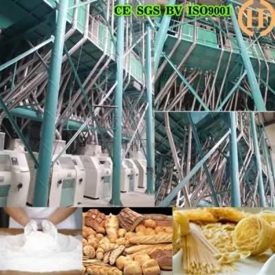 to Produce Semolina of 80-120t/24h Wheat Flour Milling Machine