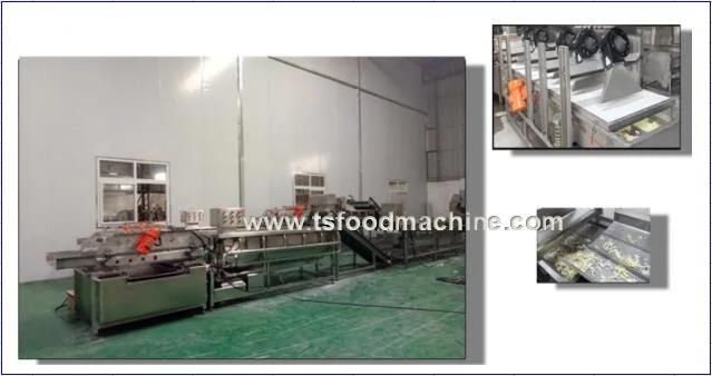 Vegetable Slicer Machine Electric Vegetable Processing Machine for Cabbage and Carrot