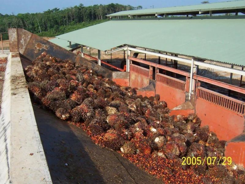 Crude Palm Oil Machine Oil Palm Processing Palm Oil Production Machine Palm Kernel Oil Processing