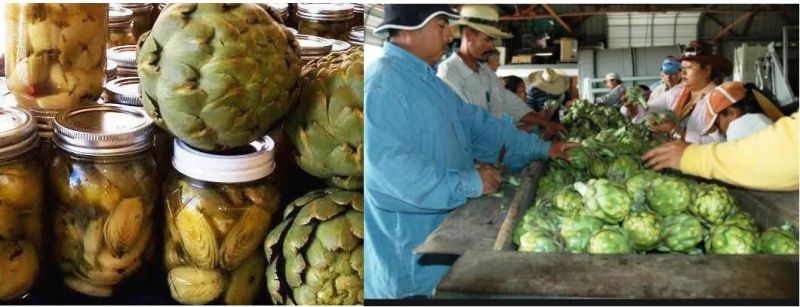 Artichoke Processing Line Artichoke Can Pasteurization Machine