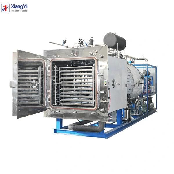 Fd-Fp Series Vacuum Freeze Dryer (Lyophilizer) for Food Processing