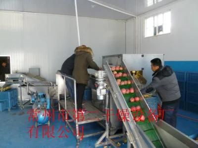 Vegetable and Fruit Mesh Belt Dryer for Apple Slice