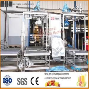 SS304 Aseptic Double Head Bag Filling Machine Oil Juice Wine Aseptic Filling Equipment ...