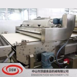 Dsm-Egg Wash-Biscuit Machine Modle: 1200