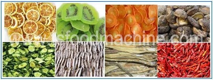 Continuouse Belt Dryer Kiwi Date Carrot Plantain Chips Food Drying Machine