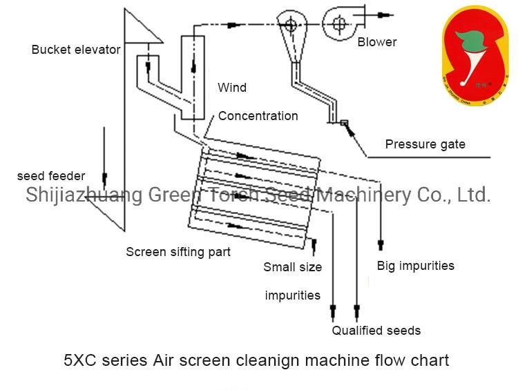 Large Capacity Seed Grain Peas Bean Cleaning and Grading Machine