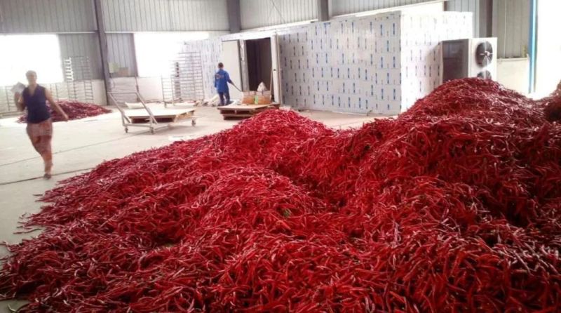 Vegetable Dehydration Machinery Red Chilli Drying Machine
