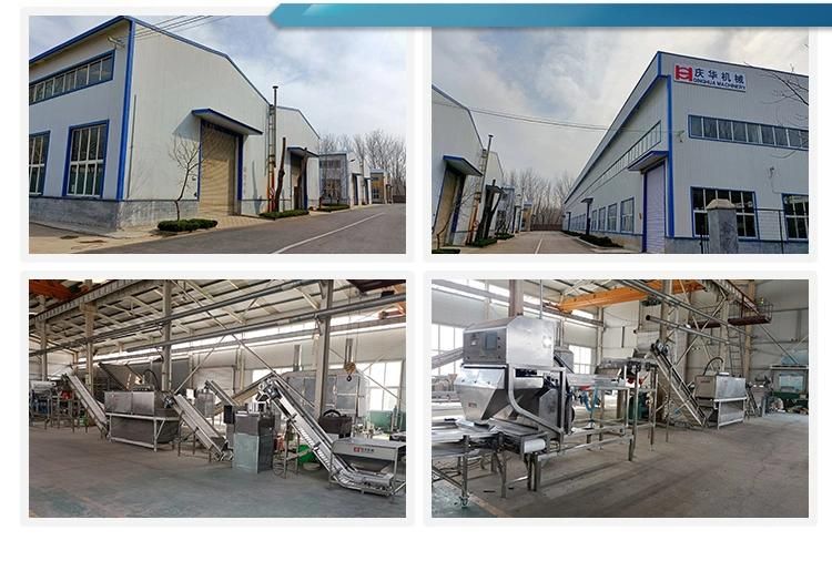 Non-Destructive Peeling Production Line for Garlic Processing