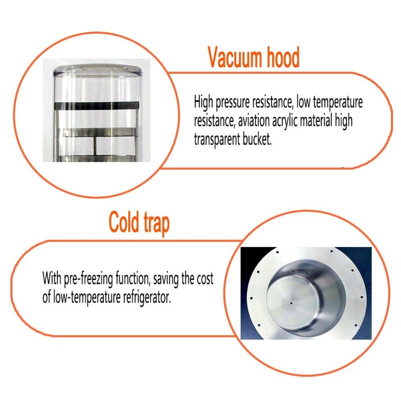 Lab Equipment Lyophilizer Used Vacuum Mini Freeze Dryer
