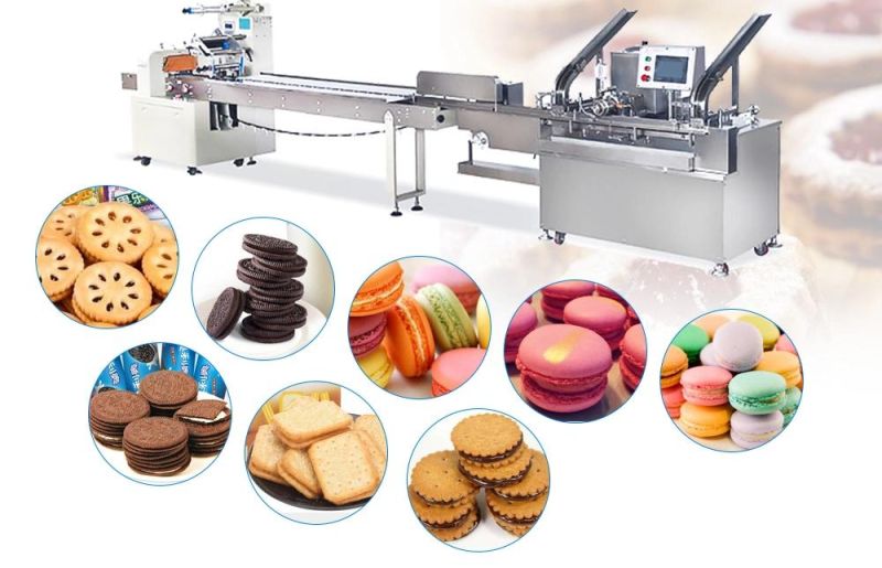 304 Stainless Steel Complete Biscuit Production Line for Walnut Cake Biscuits