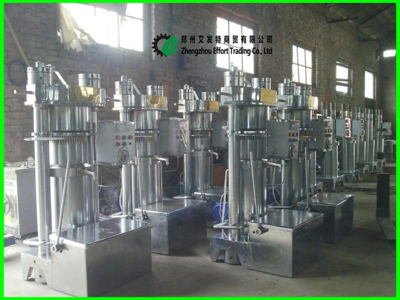 Hydraulic Sunflower Oil Press Machine Oil Press Price
