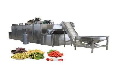 Vegetables and Fruits Microwave Dehydration Equipment
