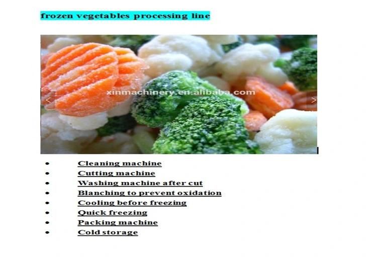 Multifunctional Hot Selling Automatic Fruit and Vegetable Freeze Drying Machine