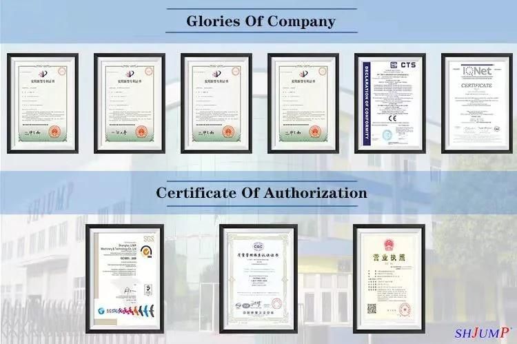 Good Price Whole Line Blueberry Processing Machines Factory Supply