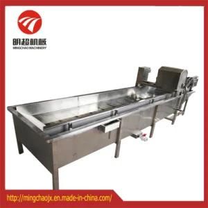 Continous Fruit/Vegetable Washing/ Drying Machine Line