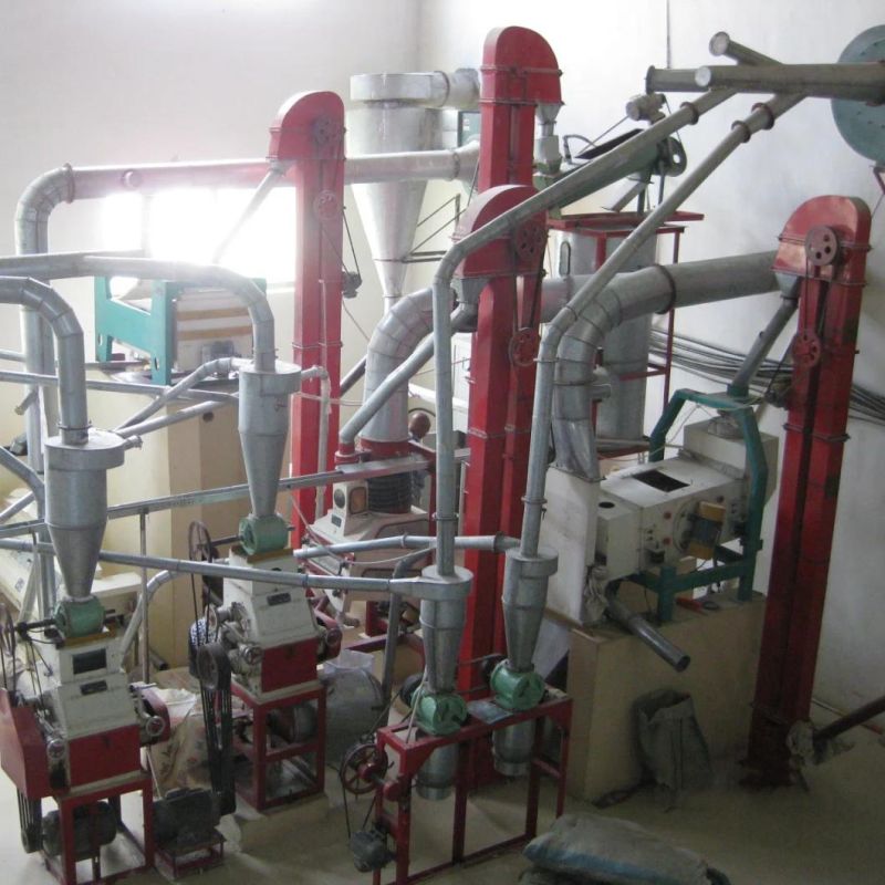 30t/24h Maize Flour Machine for Maize Meal