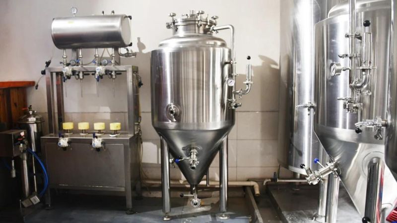 200L Small SUS304 Beer Fermenter Brewing Equipment for Brewpub Beer Bar