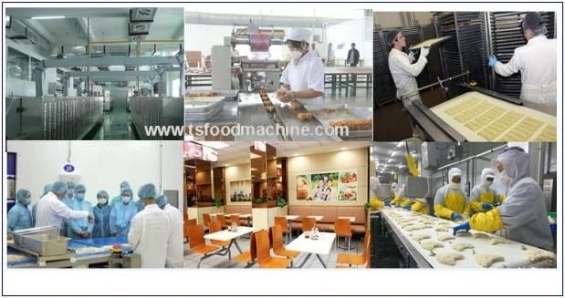Vegetable Dehydrator Dry Machine Continuous French Fries Cooling Machine