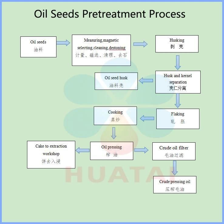 Cottonseed Oil Press Machine Copra Oil Extraction Machine Rapeseed Oil Refining Machine Canola Oil Making