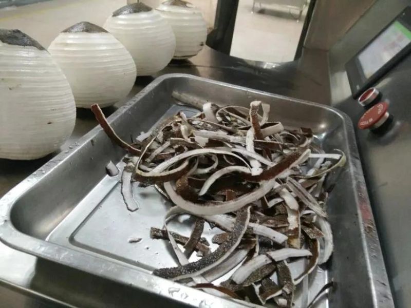 Full Automatic Stainless Coconut Peeling Machine