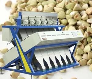 2018 New Arrival Full Color 5000+Px CCD Buckwheat Sorting Machine