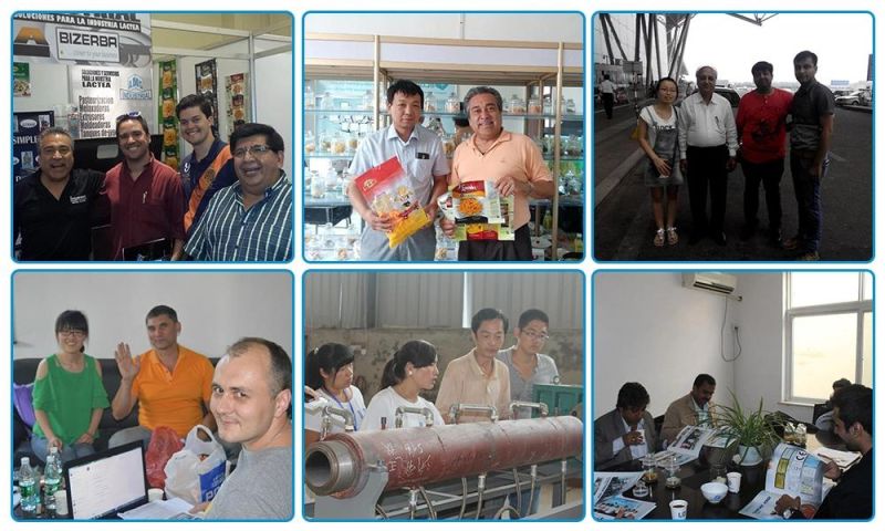 Wheat Corn Flakes Making Machine/Extruder Cereal Corn Flakes Production Plant