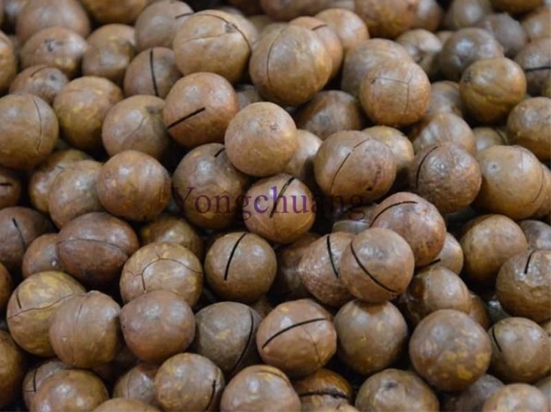 High Quality Macadamia Cracker with Low Price