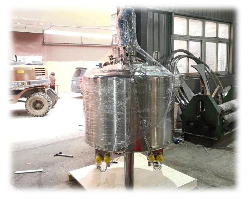 500L Stainless Steel Batch Pasteurizer with Paper Recorder