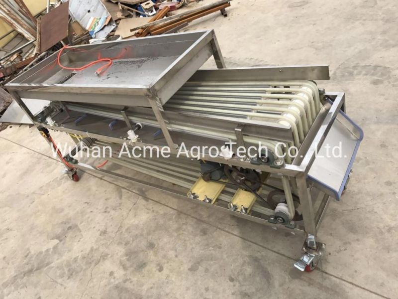 Automatic Dates Sorting Machine