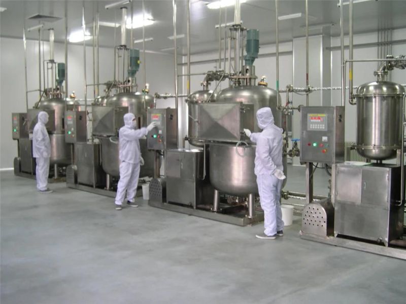 Automatic Vegetables Frying Line/Vacuum Frying Machinery with Ce Approved for Sale