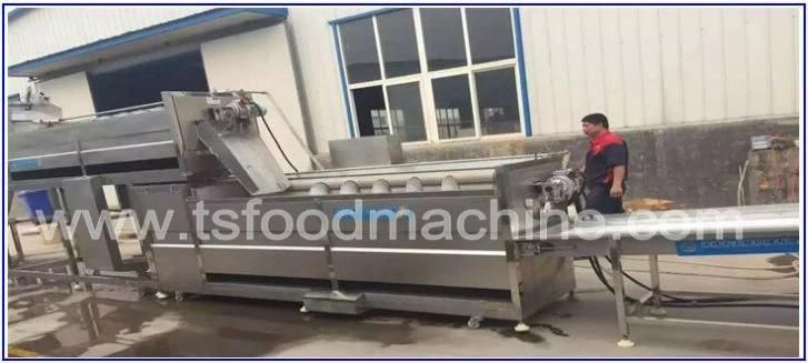 Continuous Screw Potato Skin Brush Type Peeler and Peeling Washing Machine