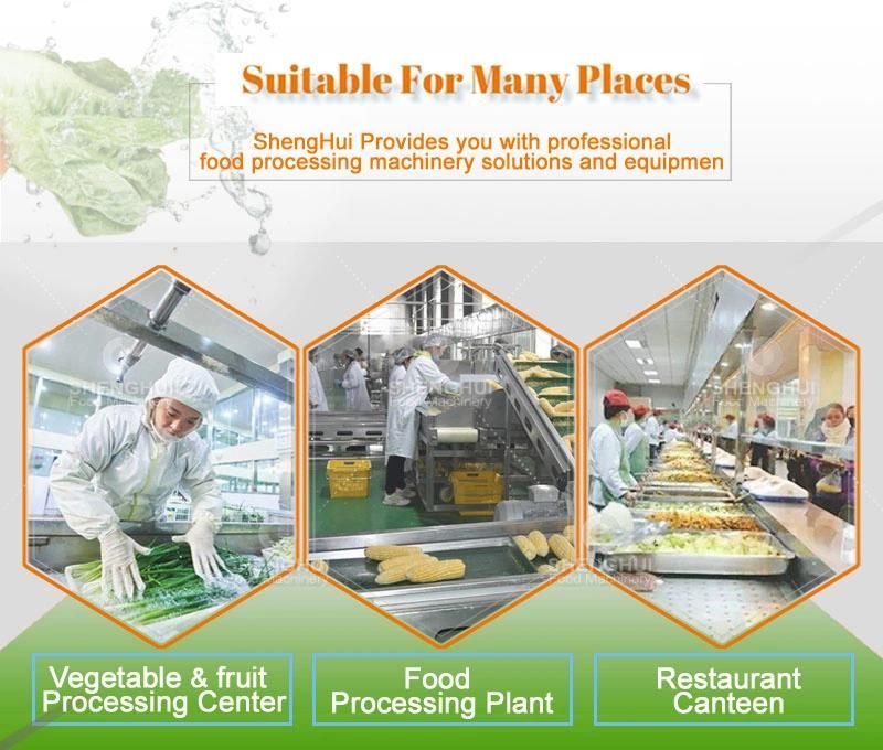 Vegetable Cutting Machine Manufacturer Fruit Vegetable Food Processing Machine