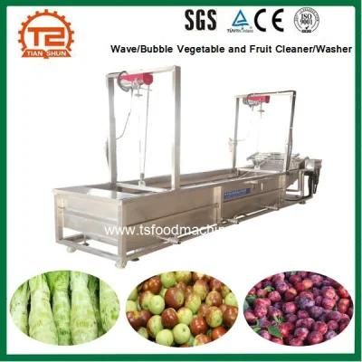 Wave/Bubble Vegetable and Fruit Cleaner/Washer