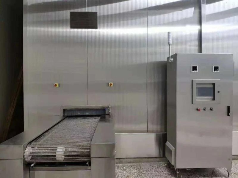 Professional Automatic IQF Tunnel Freezer Machine Individual Frozen Food Machinery