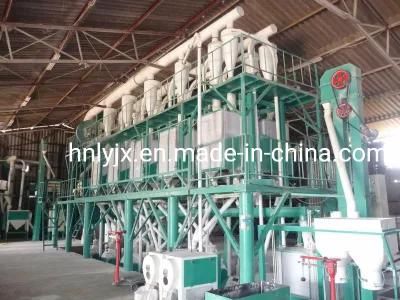 White Corn Processing Line