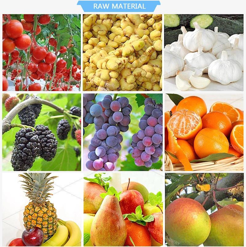 1.5t Cucumber Parsley Juice Peach Cherry Juicer Squeezer Squeezing Machine