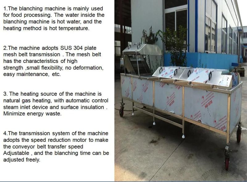 Industrial Automatic Fruit Blanch Potato Almond Peanut Mushroom Hazelnut Blanching Machine