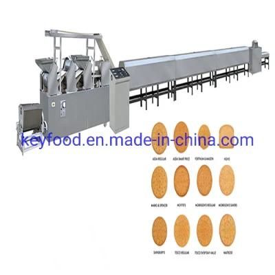 Low Cost Stainless Steel Automatic Biscuit Machine for Cookie