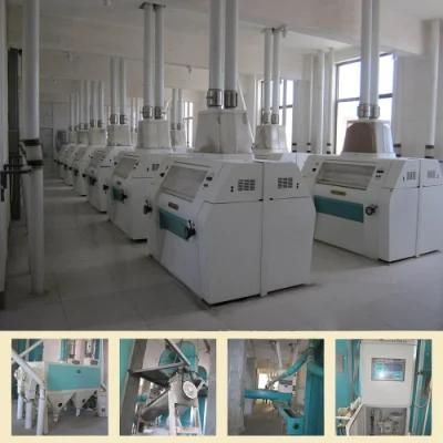 200t Automatic Wheat Flour Mill Machinery with PLC Control