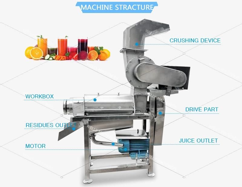 Long Service Time Orange Pomegranate Lemon Juicer Cold Pressing Machine