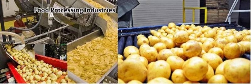 Root Vegetable Ginger Potato Roller Peeler Washing Peeling Cleaning Machine