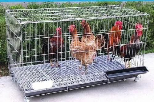 Poultry Basket Cleaning Chicken Cages Washing Machine