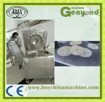 Fruit Vegetable Slicing Machine for Sale in China