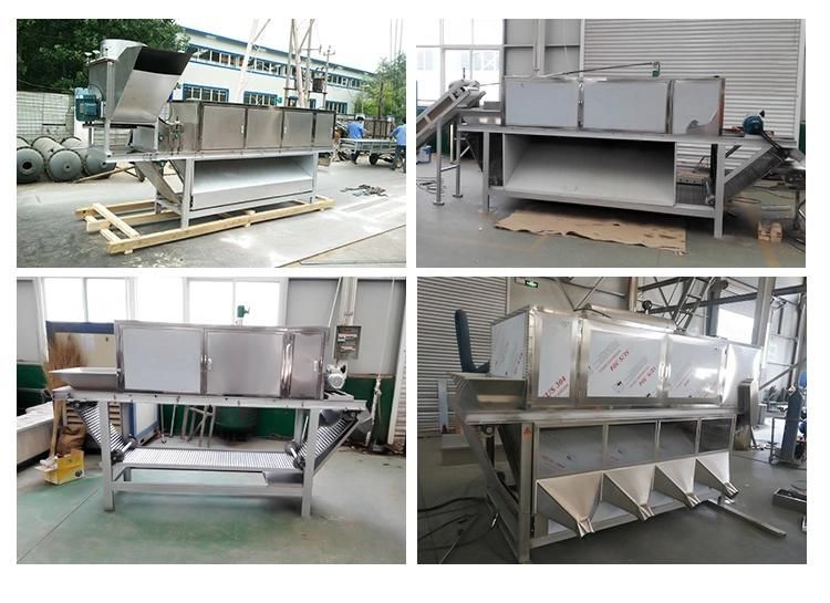 Industrial Continuous Garlic Peeling Machine