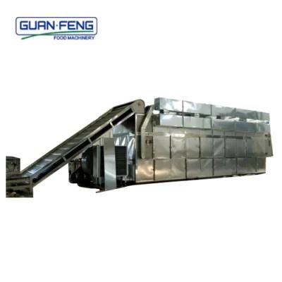 32m2 Automatic Belt Dryer Vegetable and Fruits Drying Equipment