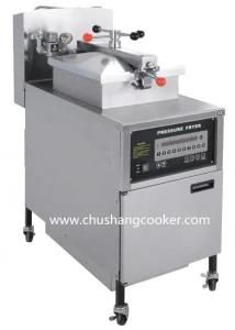 Professional Commercial Electric Deep Fryer
